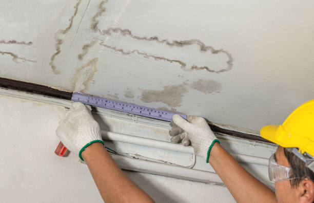 Reliable Mold Remediation contractor in New Germany, MN by Water Damage Irwin